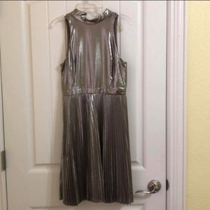 Ann Taylor Metallic Dress